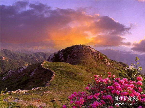 ��̶����ͨ������4A������������������