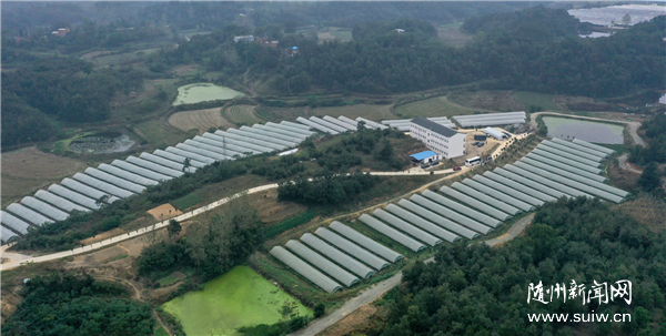 ���������ݿ���չ���߲����ﻰ����