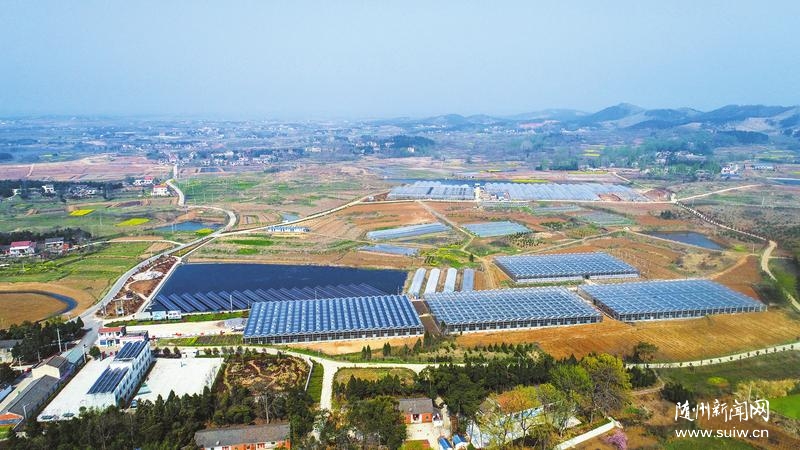 ��С�����������������о�ʤ��ƶ���Ṥ������