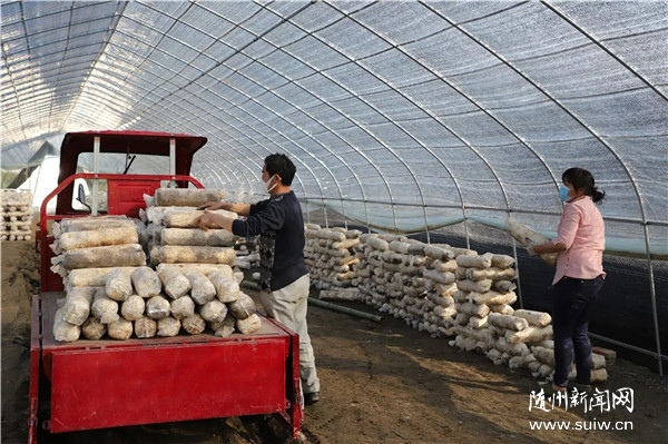 ����ƶ���᡿������:���Ʋ�ҵ������ƶ����