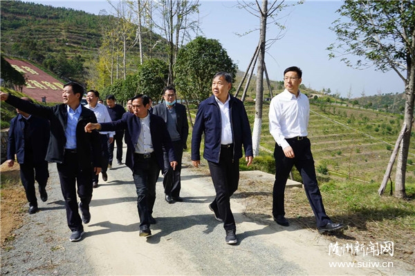 ½���������:��ǿˮ�����ֱ�����ˮ��ɽ