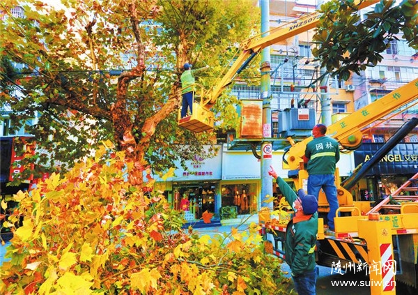 �е�����������