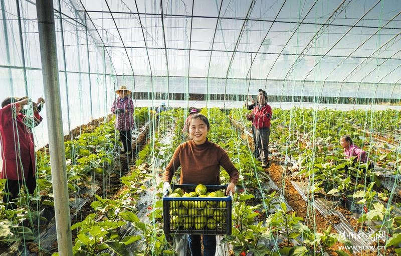 ���������߲�ϲ�����