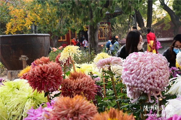 �������ʹ���������԰��ʾջ���������