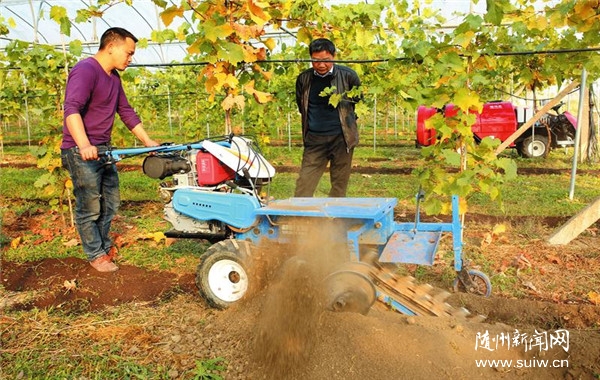 ���͹�԰��ҵ��е�����ﶬ��԰����