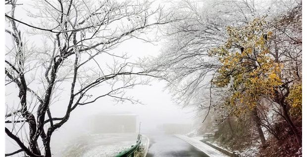 ���ɽӭ���׳���ѩ