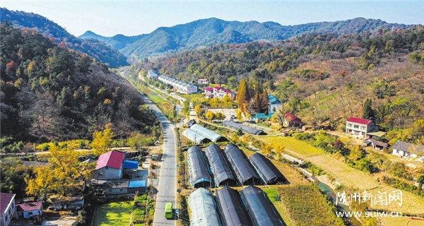 ���ҺӴ�������԰���