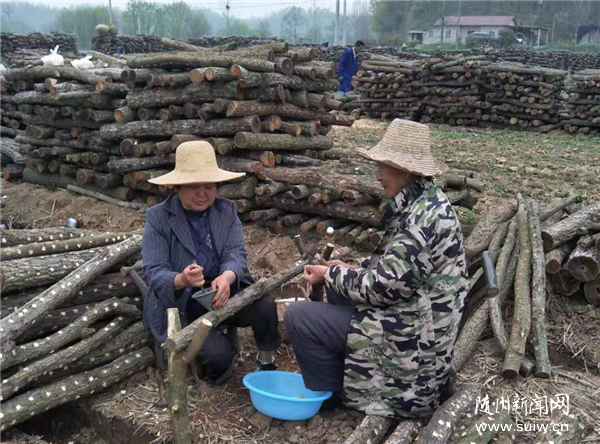 ���غ�ɽ�����������ҵ��ƶ��ǿ����Ѫ������