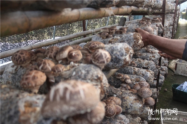 �����������ǵ�С����������ͣ�����ߵ���¸���