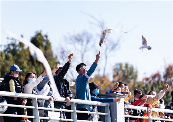 ��Ÿӭ����