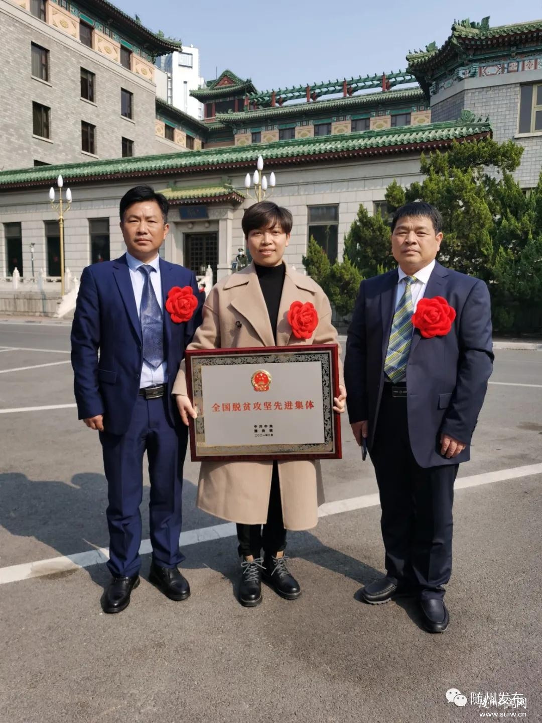 ȫ����ƶ�����ܽ���ô�� ������Щ���ܵ����ã�