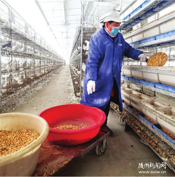 ��չ�е��ָ���ֳ��