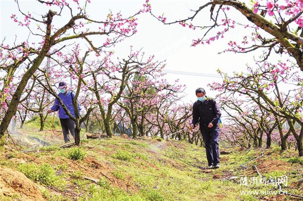 ���ڴ����԰����æ