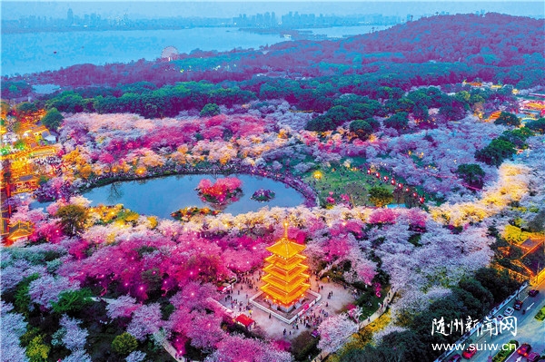 ����8�������ζ���ӣ԰