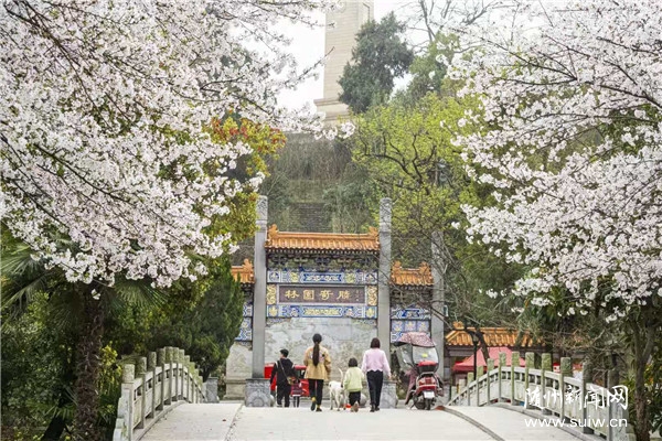 ��Ũ����ӣ��