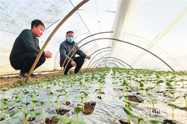 �����߲�����æ