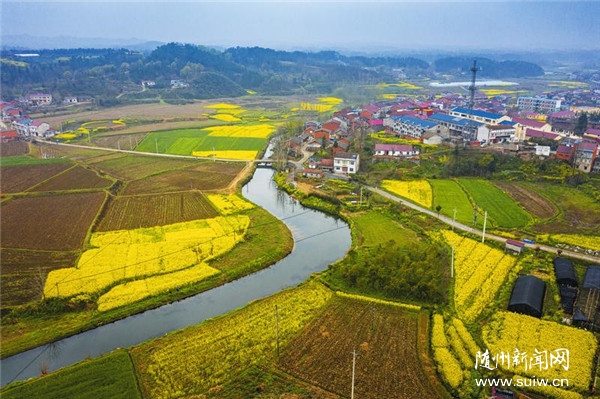 �Ͳ˻�����Ŀ��