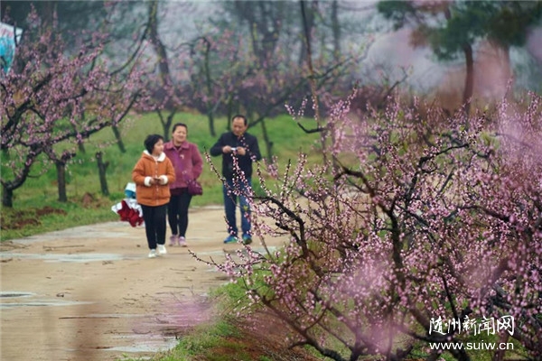 �������������