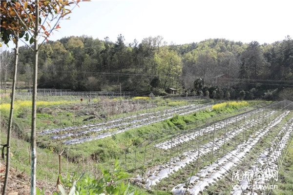 ������ſ��ߴ��������������