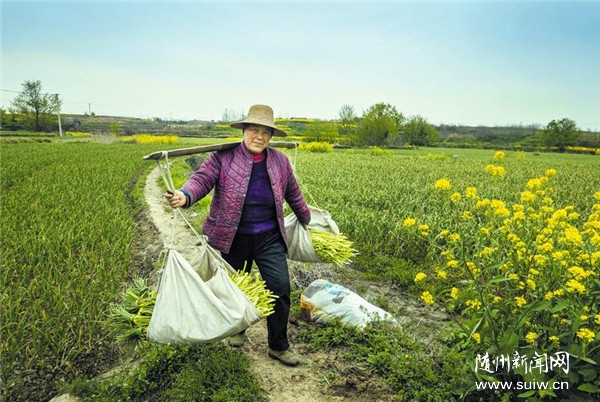 ��ũ������޷