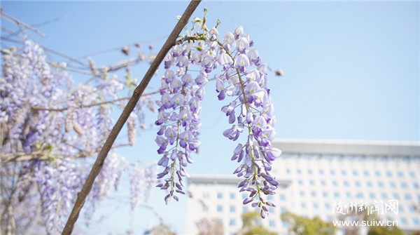 �����ͻ���ͼ �� ���ٻ���