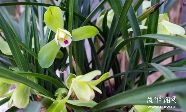 4��9�գ����������Ļ����νڿ�Ļ