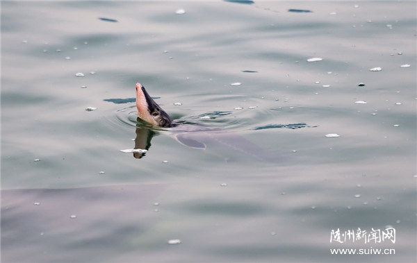 ������Ͽ����10000β�Ӷ����л���