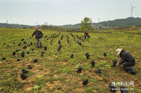 ��ҵ�˼���ǿ