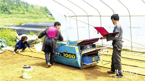 �����㵾����