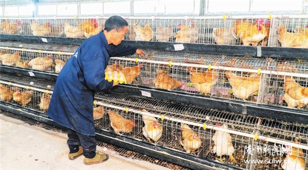 ��ֳ�����߸�·