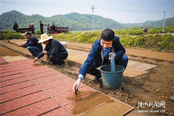 ������������ʱ