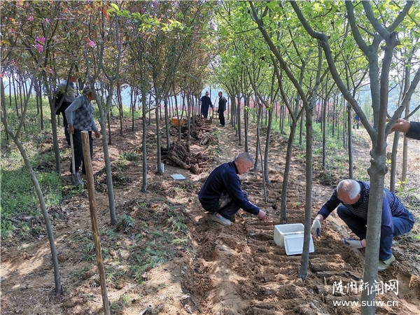 �������߻��㡿����ɽ��:��������������