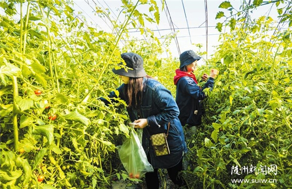 ũҵչ����ӭ���۹��