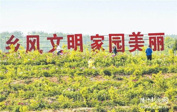 ��԰�ۺ���ʾ�����������ο��ͻ�̤��