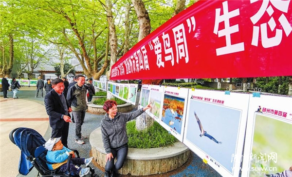 �������ܡ���̬��Ӱչ