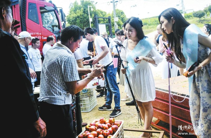 ��������������