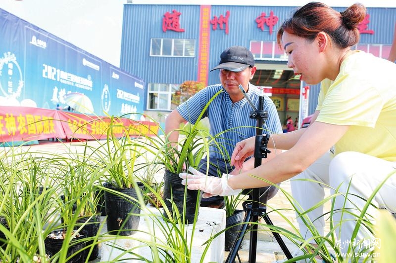 ����ΪȺ�ڰ�ʵ�¡�