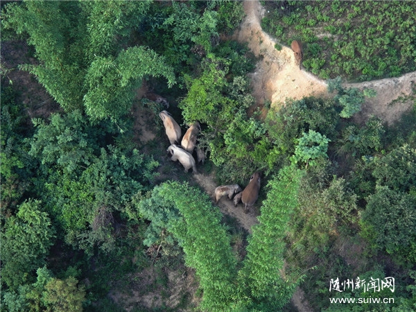 ���ϱ���������Ⱥ����Ϫ����ƽ�ؽ�������ʯ����