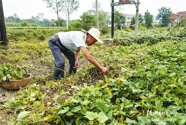 �����Ծ� �ؽ���԰