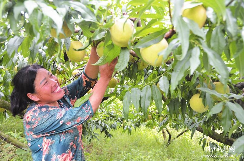 ���ؽ���������չ�ֹ���ҵ