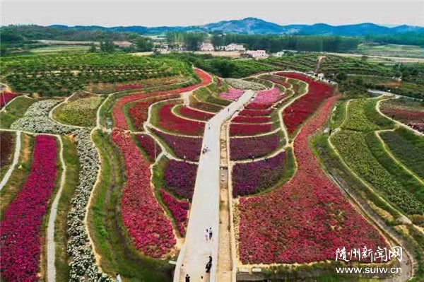 �����к��ļ�ֵ�ۡ����������˴帻����ͷ�㡱