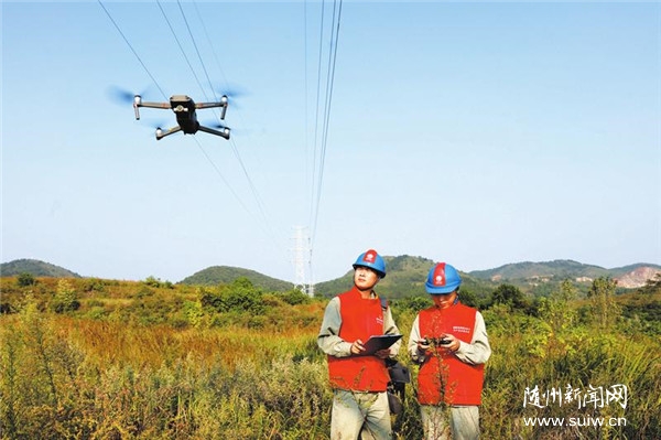 Ѳ����· �Ų�����