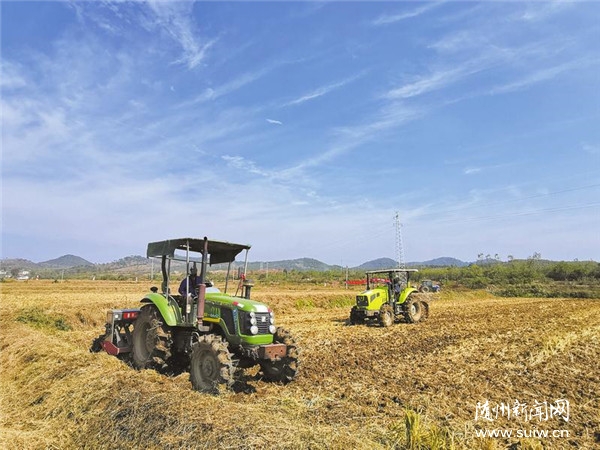 �����Ұ����æ