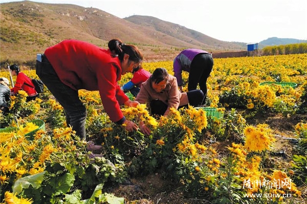 ��չ��ɫ��ֲҵ