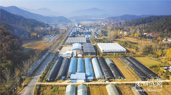 �㹽���ֻ���