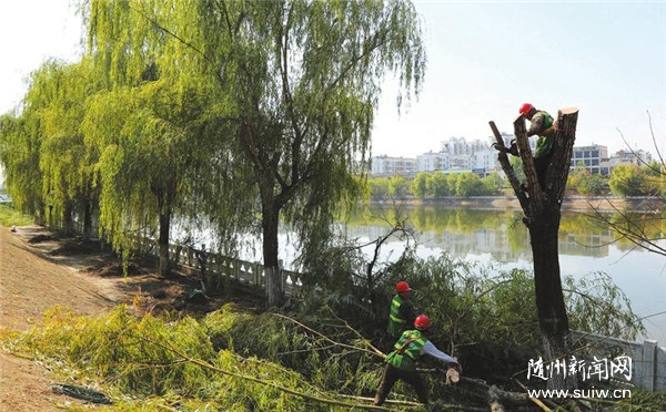 �޼����������е���