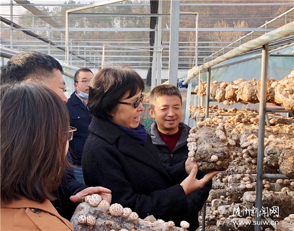 ��������ר�á�̷�������з����㹽�Ļ��ٽ���ҵ�ѱ䷢չ