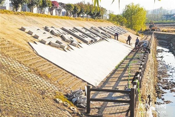 ��԰����