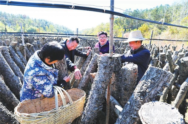 ������ƶ�ɹ�