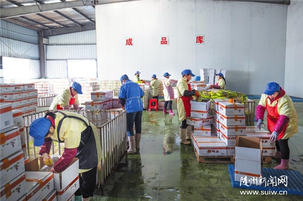 �����߲˳���